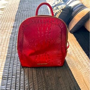 Brahmin bag